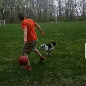 Meet your Posher, Noah